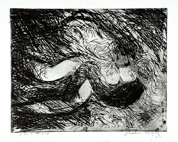 Artist: b'BOYD, Arthur' | Title: b'Lovers in a thicket.' | Date: (1962-63) | Technique: b'etching and aquatint, printed in black ink, from one plate' | Copyright: b'Reproduced with permission of Bundanon Trust'