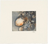 Title: Rosedale Beach | Date: 2002 | Technique: softground-etching and aquatint, printed in colour, from two plates; hand-coloured