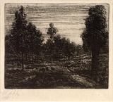 Artist: b'Cobb, Victor.' | Title: b'[no title] The road between trees.' | Date: 1898 | Technique: b'etching, printed in black ink, from one plate'