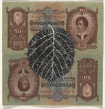 Artist: b'HALL, Fiona' | Title: b'Corylus avellana - Hazelnut (Hungarian currency)' | Date: 2000 - 2002 | Technique: b'gouache' | Copyright: b'\xc2\xa9 Fiona Hall'