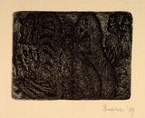 Artist: SHEARER, Mitzi | Title: not titled | Date: 1989 | Technique: etching, printed in brown/black ink, from one  plate