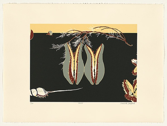 Artist: b'Campbell, Cressida.' | Title: b'Seeds' | Date: 1995 | Technique: b'screenprint, printed in colour, from four stencils'