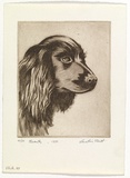 Artist: b'PLATT, Austin' | Title: b'Beauty' | Date: 1937 | Technique: b'etching, printed in black ink, from one plate'