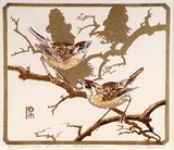 Artist: Palmer, Ethleen. | Title: Two finches | Date: 1951 | Technique: screenprint, printed in colour, from multiple stencils