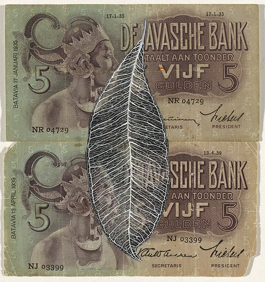 Artist: b'HALL, Fiona' | Title: b'Syzygium aromaticum - Clove (Dutch East Indies currency)' | Date: 2000 - 2002 | Technique: b'gouache' | Copyright: b'\xc2\xa9 Fiona Hall'