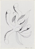 Artist: b'Burns, Peter.' | Title: b'Leaf hand.' | Date: 1987 | Technique: b'photocopy, printed in black ink' | Copyright: b'\xc2\xa9 Peter Burns'