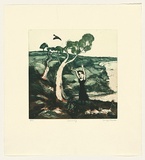 Artist: Shead, Garry. | Title: Currawong | Date: 1991-94 | Technique: etching and aquatint, printed in green and brown inks, from two plates | Copyright: © Garry Shead