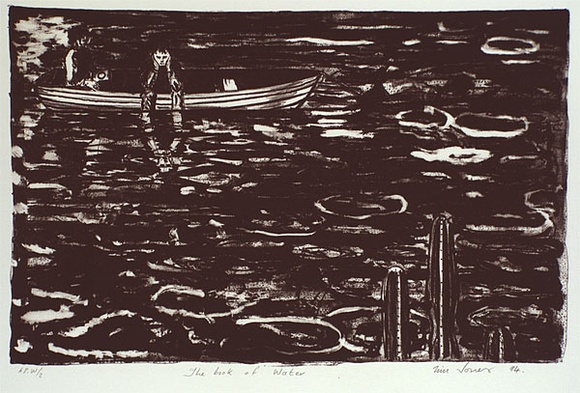 Artist: b'Jones, Tim.' | Title: b'The book of water' | Date: 1994 | Technique: b'lithograph, printed in dark brown ink, from one stone'