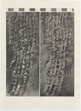 Artist: b'MADDOCK, Bea' | Title: b'Hanging Tracks One Two' | Date: 1975, August | Technique: b'etchuing, aquatint, photo-etching, printed in black ink, from three plates'