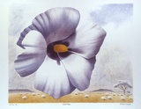 Artist: b'Russell,, Deborah.' | Title: b'Desert rose' | Date: 1999, September | Technique: b'lithograph, printed in colour, from multiple stones'