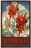 Artist: b'Mayo, Eileen.' | Title: bAustralia (Sturt's Desert Pea). | Date: 1957 | Technique: b'offset-lithograph, printed in colour, from multiple plates'