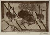 Artist: b'Edwards, David.' | Title: b'Life of an echidna' | Date: 1999, April | Technique: b'etching, printed in black ink, from one plate'