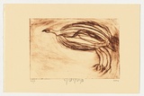 Artist: NAMPITJINPA, Yuyuwa | Title: not titled [emu] | Date: 2004 | Technique: drypoint etching, printed in brown ink, from one perspex plate