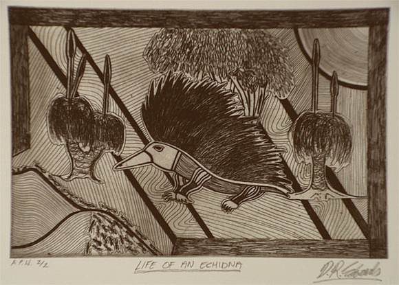 Artist: Edwards, David. | Title: Life of an echidna | Date: 1999, April | Technique: etching, printed in black ink, from one plate