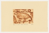 Artist: b'Marshall, Petra.' | Title: b'Juntu and karrku' | Date: 2004 | Technique: b'drypoint etching, printed in brown ink, from one perspex plate'