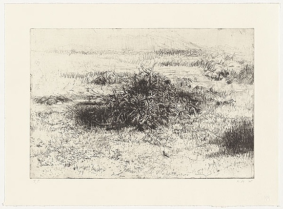 Artist: b'Mortensen, Kevin.' | Title: b'not titled [landscape]' | Date: 2005 | Technique: b'etching, printed in black ink, from one copper plate' | Copyright: b'\xc2\xa9 Kevin Mortensen'