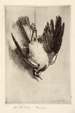 Artist: b'LINDSAY, Lionel' | Title: b'Peewit' | Date: 1916 | Technique: b'etching, printed in warm black ink with plate-tone, from one plate' | Copyright: b'Courtesy of the National Library of Australia'