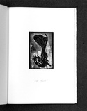 Artist: Gurvich, Rafael. | Title: Wall flower [leaf 10: recto]. | Date: 1979, April | Technique: etching, printed in black ink, from one plate | Copyright: © Rafael Gurvich