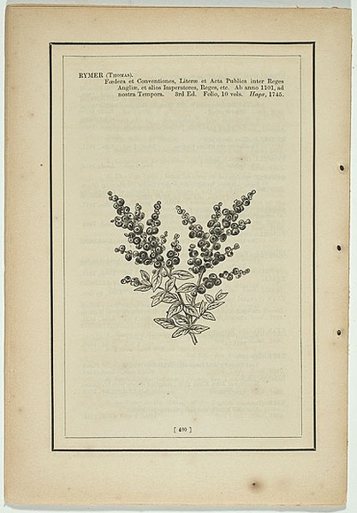 Title: b'not titled [rhagodia villardieri].' | Date: 1861 | Technique: b'woodengraving, printed in black ink, from one block'