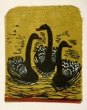 Artist: OGILVIE, Helen | Title: Greeting card: Black swan. (Print designed as christmas card) | Date: c.1951 | Technique: linocut, printed in colour, from multiple blocks