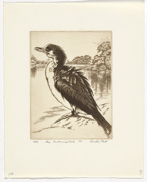 Artist: b'PLATT, Austin' | Title: b'Shag, Centennial Park' | Date: 1981 | Technique: b'etching, printed in black ink, from one plate'