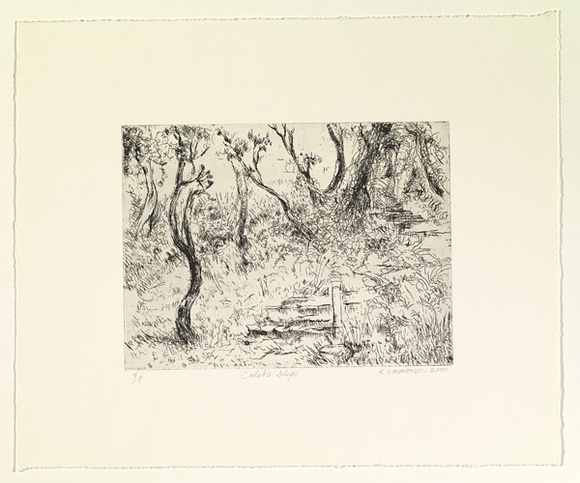 Artist: b'Mortensen, Kevin.' | Title: bCaleb's steps | Date: 2000 | Technique: b'etching, printed in black ink, from one copper plate' | Copyright: b'\xc2\xa9 Kevin Mortensen'