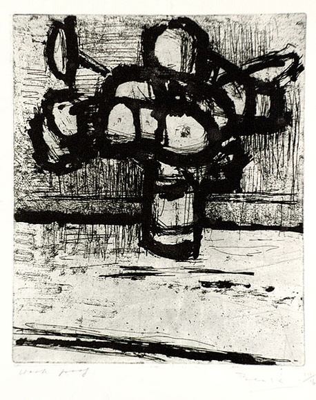 Artist: b'MADDOCK, Bea' | Title: b'Flowers' | Date: 1961 | Technique: b'etching and sugarlift aquatint, printed in black ink, from one zinc plate'