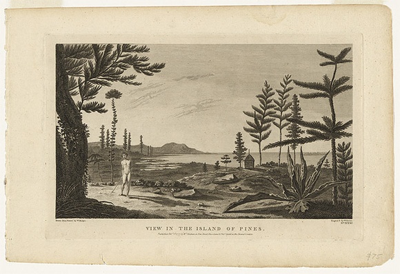 Title: b'View in the Island of Pines' | Date: 1777 | Technique: b'engraving, printed in black ink, from one copper plate'