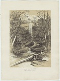 Artist: b'PROUT, John Skinner' | Title: b'Lower fall, Willoughby, North Shore Sydney.' | Date: 1842 | Technique: b'lithograph, printed in colour, from two stones (black and brown tint stone)'