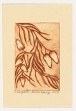 Artist: Robinya, Janella. | Title: Langkwe | Date: 2004 | Technique: drypoint etching, printed in brown ink, from one perspex plate