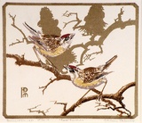 Artist: b'Palmer, Ethleen.' | Title: b'Two finches' | Date: 1951 | Technique: b'screenprint, printed in colour, from multiple stencils'