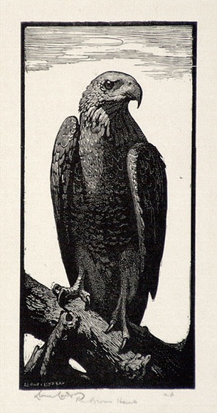 Artist: b'LINDSAY, Lionel' | Title: b'The brown hawk' | Date: 1924 | Technique: b'wood-engraving, printed in black ink, from one block' | Copyright: b'Courtesy of the National Library of Australia'