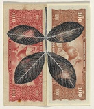 Artist: HALL, Fiona | Title: Arachis hypogaea - Peanut (Brazilian currency) | Date: 2000 - 2002 | Technique: gouache | Copyright: © Fiona Hall