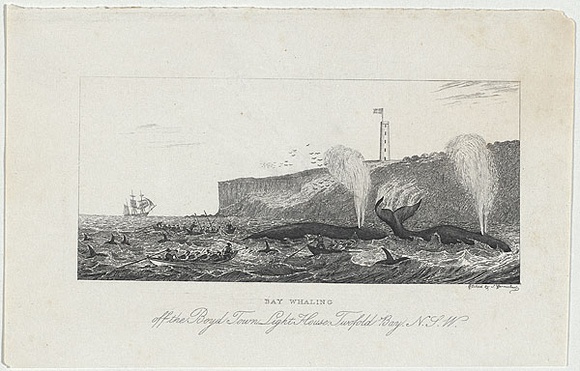 Artist: b'Carmichael, John.' | Title: b'Bay whaling off the Boyd Town Lighthouse Twofold Bay, N.S.W.' | Date: 1848 | Technique: b'etching, printed in black ink, from one copper plate'