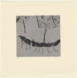 Artist: b'Murphey, Idris.' | Title: b'(Hairy log).' | Date: 2002 | Technique: b'open-bite and aquatint, printed in grey ink, from two plates'