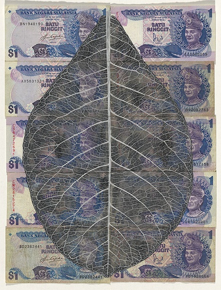 Artist: b'HALL, Fiona' | Title: b'Terminalia catappa - Indian almond (Malaysian currency)' | Date: 2000 - 2002 | Technique: b'gouache' | Copyright: b'\xc2\xa9 Fiona Hall'