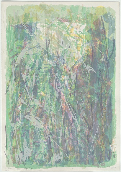 Artist: b'MEYER, Bill' | Title: b'Porcupine Ridge green' | Date: 1988 | Technique: b'screenprint, printed in colour, from multiple stencils' | Copyright: b'\xc2\xa9 Bill Meyer'