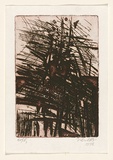 Artist: b'VILA-BOGDANICH, Memnuna' | Title: b'not titled [West Australian landscape]' | Date: 1978 | Technique: b'etching, printed in black ink, from one plate' | Copyright: b'This work appears on screen courtesy of the artist. All copyright reserved in the artist'