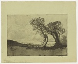 Artist: LONG, Sydney | Title: A Cornish landscape | Date: 1919 | Technique: aquatint and softground-etching, printed in black ink, from one copper plate | Copyright: Reproduced with the kind permission of the Ophthalmic Research Institute of Australia