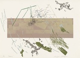 Artist: MEYER, Bill | Title: Geodisy | Date: 1981 | Technique: screenprint, printed in seven colours, from four screens (handcut and photo direct and indirect) | Copyright: © Bill Meyer