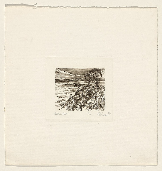 Title: b'Western Point' | Date: 1974 | Technique: b'etching, printed in black ink, from one plate'