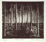 Artist: Jones, Tim. | Title: Littel [?] wood | Date: 1994, April - May | Technique: etching, printed in black ink, from one plate