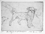 Artist: McBurnie, Ron. | Title: The dog as a philosopher | Date: 1987 | Technique: softground-etching, printed in black ink, from one zinc plate | Copyright: © Ron McBurnie