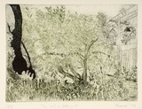 Artist: SHEARER, Mitzi | Title: The cat is looking on | Date: 1979 | Technique: etching, printed in black and green ink, from one  plate