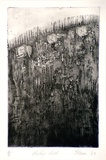 Artist: b'Gleeson, William.' | Title: b'Rocky Hill' | Date: 1965 | Technique: b'etching, printed in black ink, from one plate' | Copyright: b'This work appears on screen courtesy of the artist'