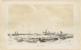 Title: The chace | Date: 1848 | Technique: lithograph, printed in colour, from two stones