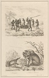 Title: bDanse des naturels de l'Australie, Ornithorrynque and Wombat ou desman [Dance of Australian natives, Duck-billed platypus and Wombat or desman] | Date: 1835 | Technique: b'engraving, printed in black ink, from one steel plate'