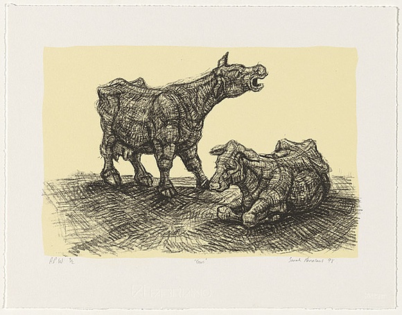 Artist: b'MENELAUS, Sarah' | Title: b'Cows' | Date: 1998, December | Technique: b'lithograph, printed in black ink, from one stone with cream tint'
