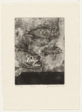 Artist: b'Andrews, Garry.' | Title: b'Fish' | Date: 1992, October | Technique: b'etching and aquatint, printed in black ink, from one plate' | Copyright: b'\xc2\xa9 Garry Andrews. Licensed by VISCOPY, Australia'