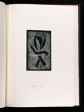 Artist: GURVICH, Rafael | Title: Banana jive [leaf 20: recto]. | Date: 1979, April | Technique: etching, printed in black ink, from one plate | Copyright: © Rafael Gurvich